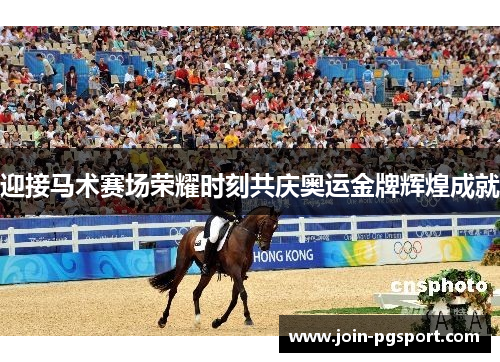 迎接马术赛场荣耀时刻共庆奥运金牌辉煌成就 迎接马术赛场荣耀时刻共庆奥运金牌辉煌成就