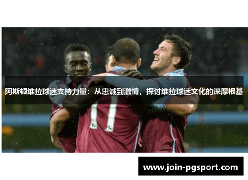 阿斯顿维拉球迷支持力量：从忠诚到激情，探讨维拉球迷文化的深厚根基