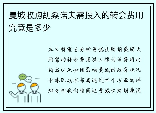 曼城收购胡桑诺夫需投入的转会费用究竟是多少